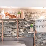 Sunny Brae, Dog Friendly ווינדרמר